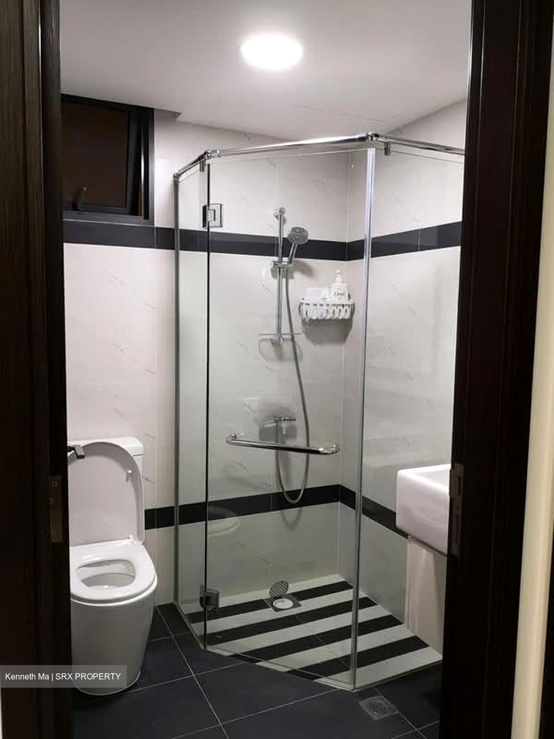 Symphony Suites (D27), Condominium #559902601